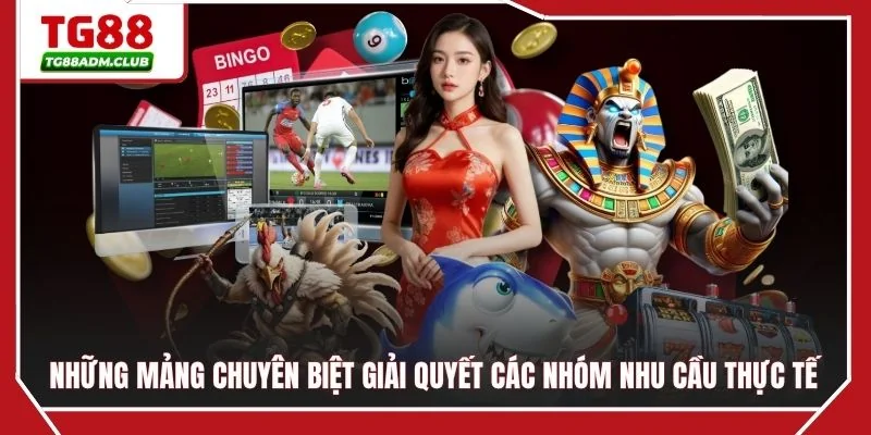 Những mảng chuyên biệt giải quyết các nhóm nhu cầu thực tế