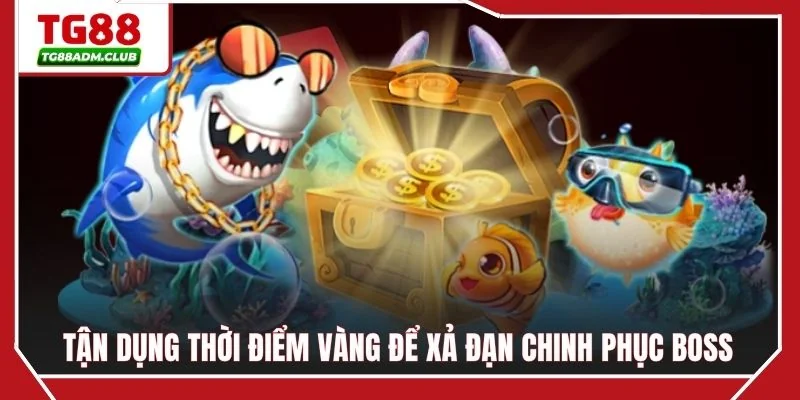 Tận dụng thời điểm vàng để xả đạn chinh phục boss